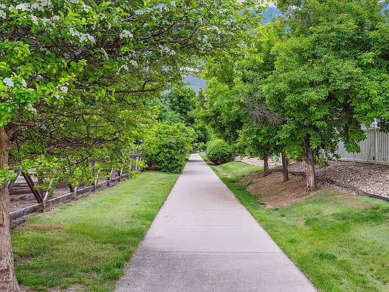 Walking path just outside the back gate