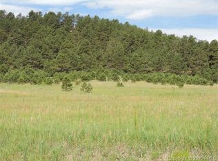 16150 Reata Rd, Peyton, CO 80831