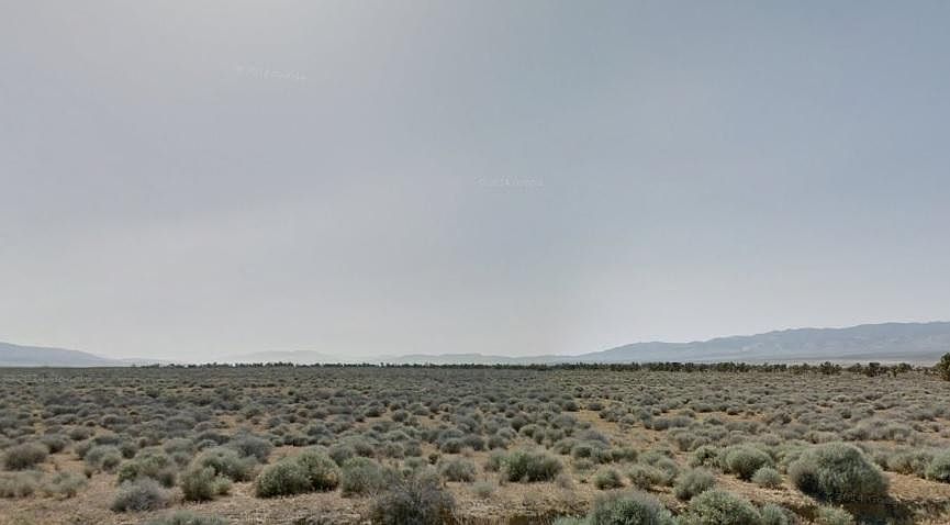 1st image of Avenue B8 #183