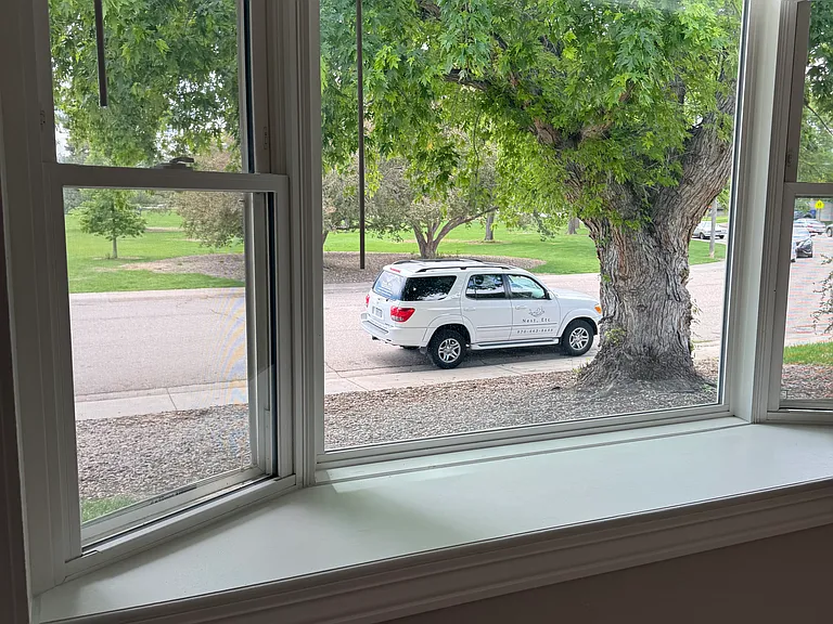 Daphne Dr — Photo 5
