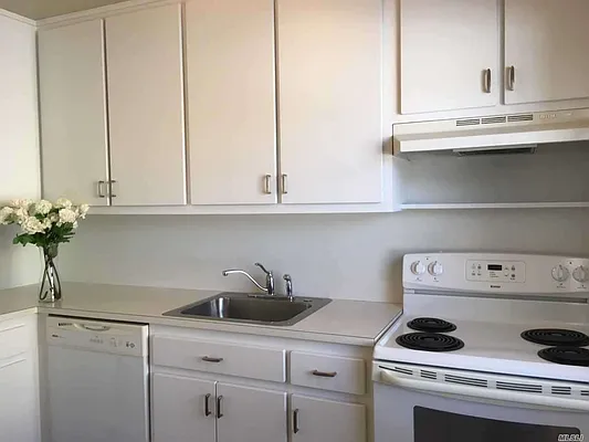 Rented by Douglas Elliman | media 22