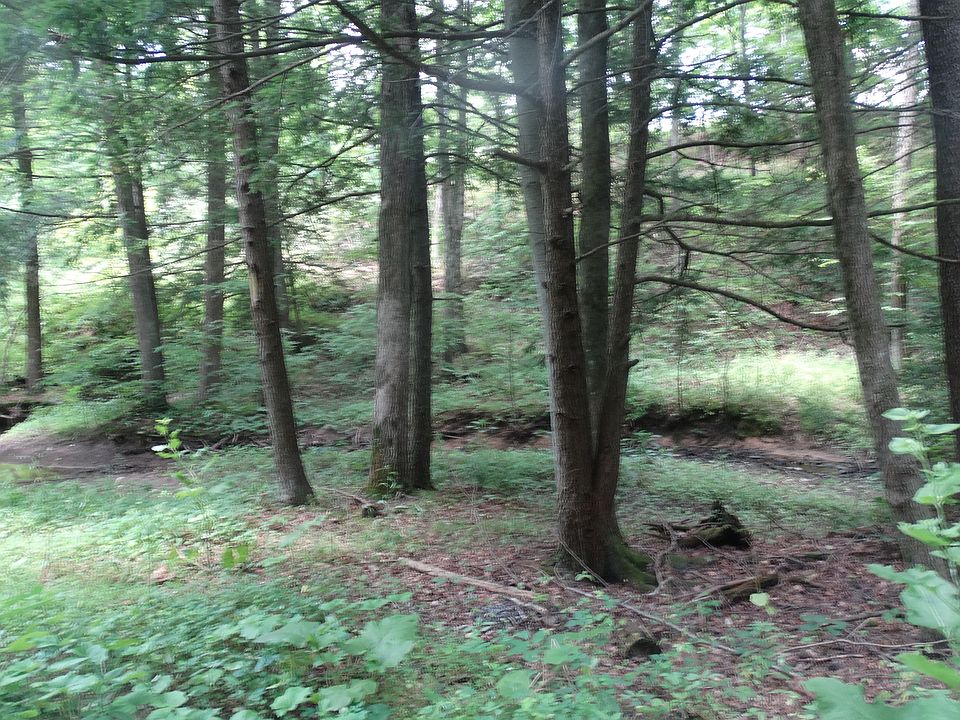 1st image of 21901 Deer Run