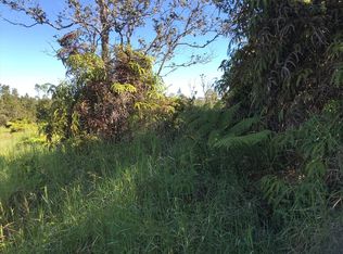 LOT 1384 Lot 1384, Volcano, HI 96785