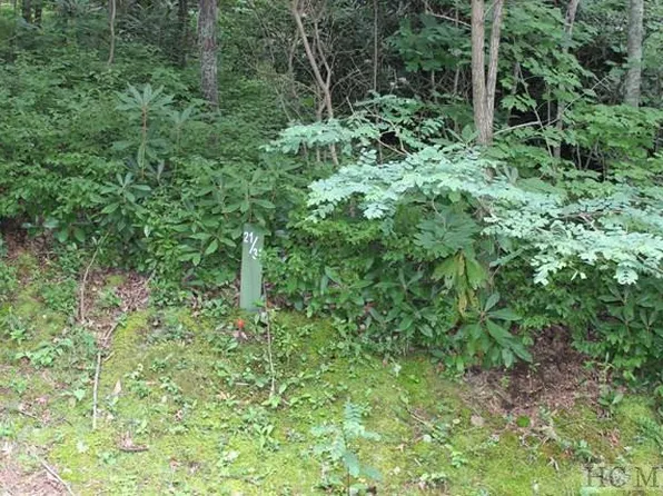 32 Whitewater Ridge Road, Sapphire, NC 28774