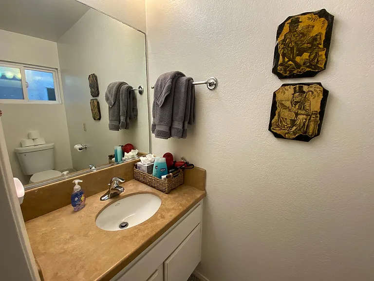 Downstairs Guest Bathroom