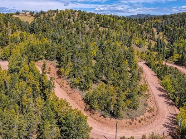 Wellington Drive, Cripple Creek, CO 80813