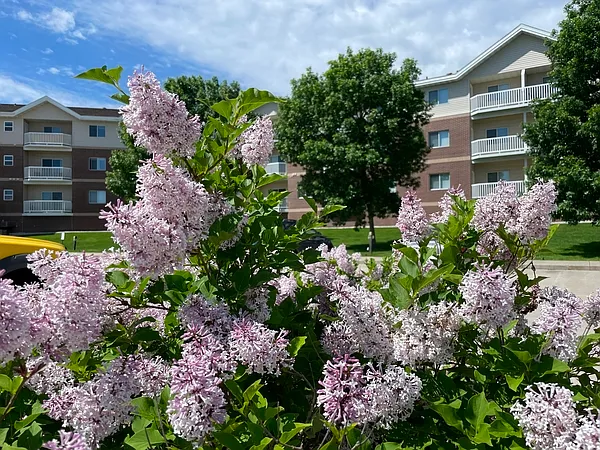 West Ridge Apartments