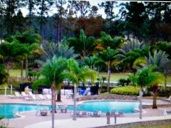 Pool area