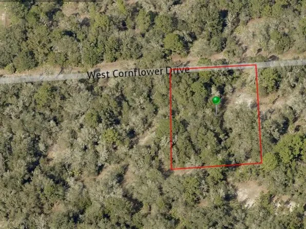 12470 W Cornflower Dr, Crystal River, FL 34428