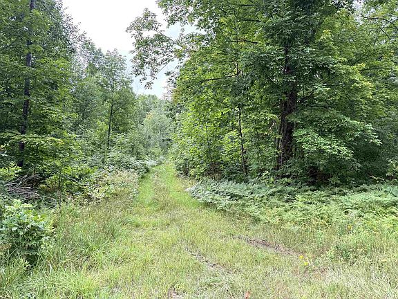 5th image of SPORTSMAN ROAD