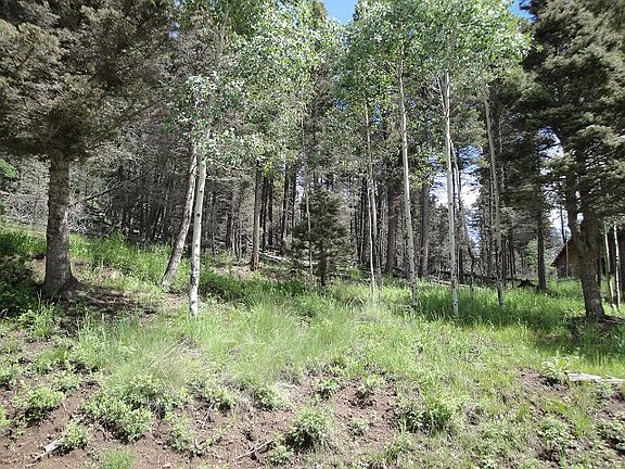 3rd image of Lot 1379 Santo Domingo Trail