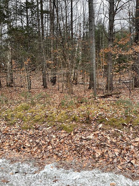 2nd image of L6 Mountain Meadows Road