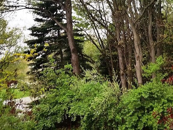 Spring Front Yard Left