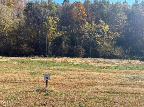 Brookside Trl, Butler, TN 37640