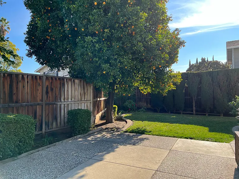 3792 Thousand Oaks Dr — Photo 9