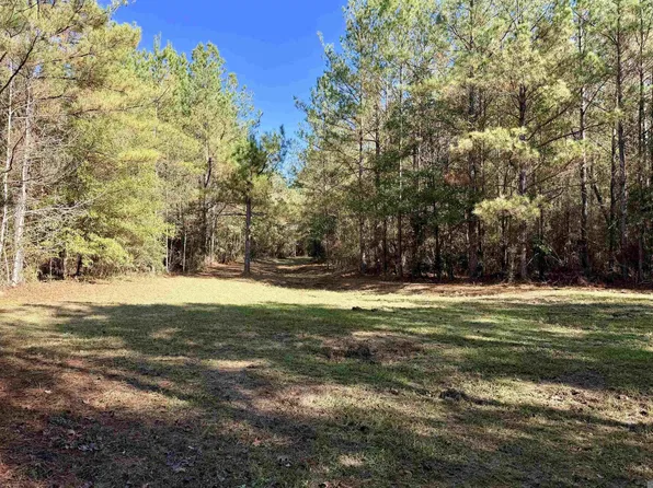 3 State Highway 1047, Amite City, LA 70442
