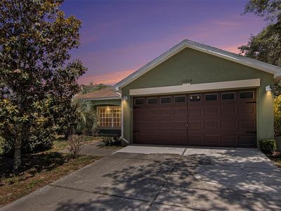 11909 Osprey Ave, Weeki Wachee, FL, 34614