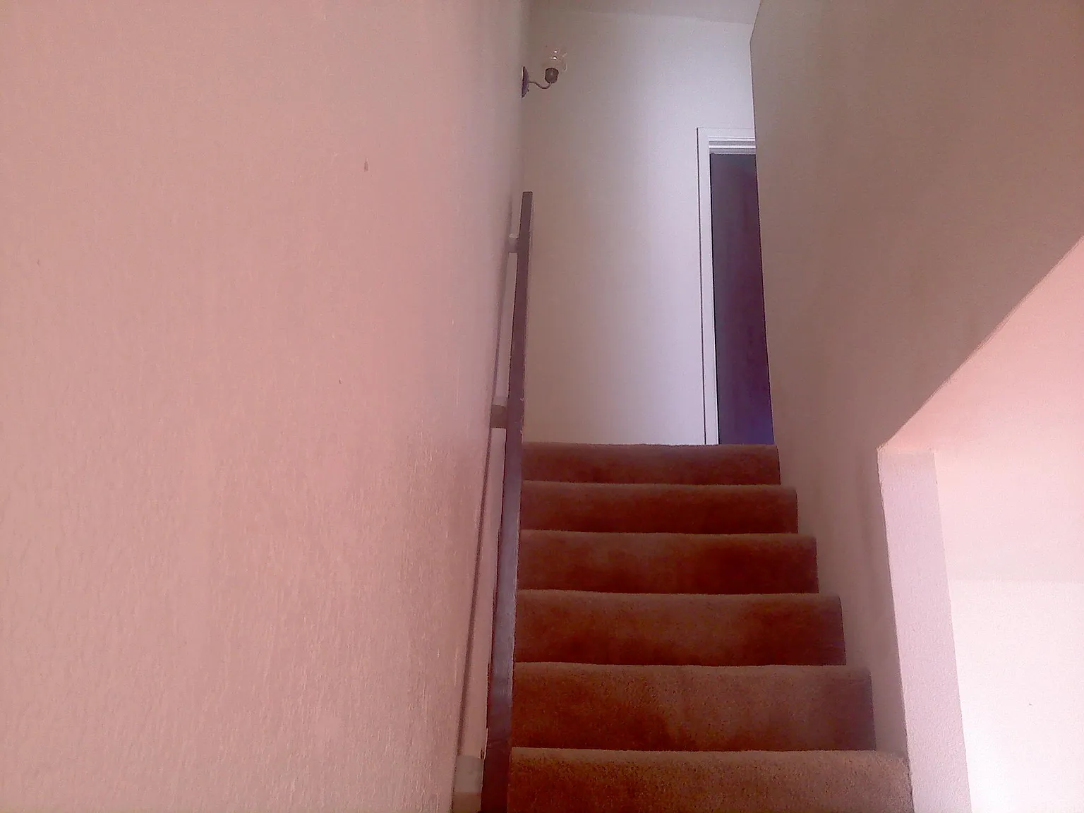 2 bed, 1.5 bath, 900 sqft, $1,195 — Photo 3