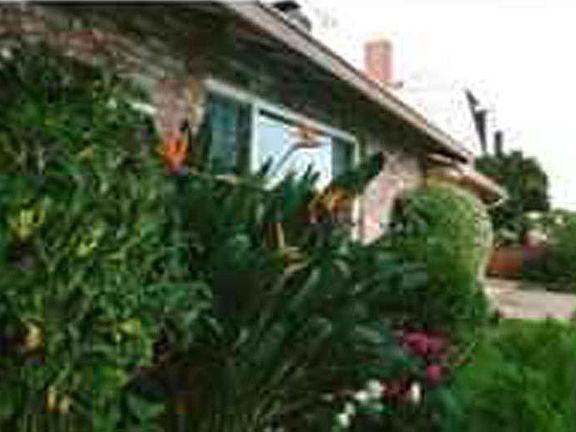 Brick front with native plants. Two cars can park in front of the garage in the driveway.