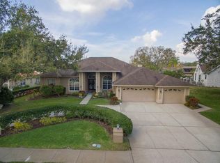 3763 Executive Dr, Palm Harbor, FL 34685