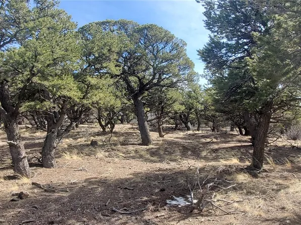 Lot 7274 Barker Road LOT 7274, Fort Garland, CO 81133