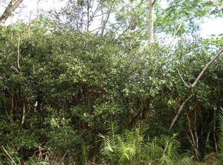 11th Ave LOT 1499, Keaau, HI 96749