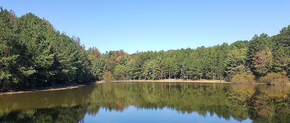 Next to Idlewild Road Park 