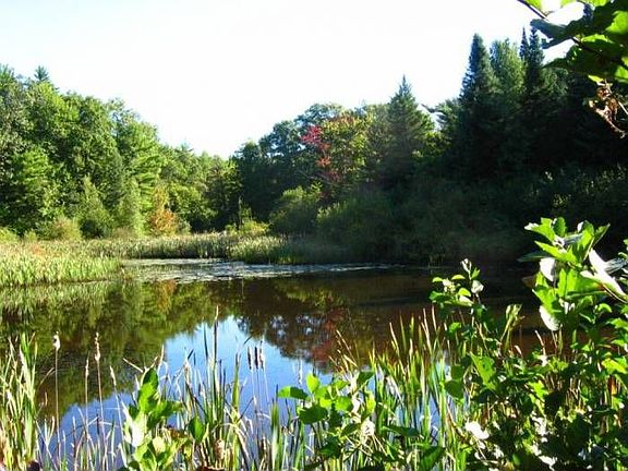 Pond