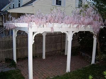 Pergola for outdoor entertaining