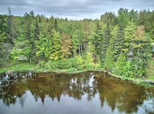 Engman Lake Access Rd, Skandia, MI 49885