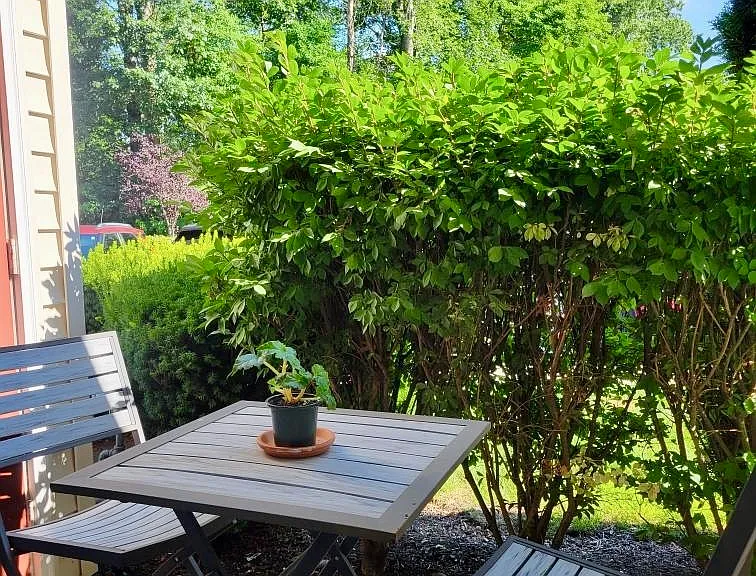 1073 Morning Glory Dr — Photo 12