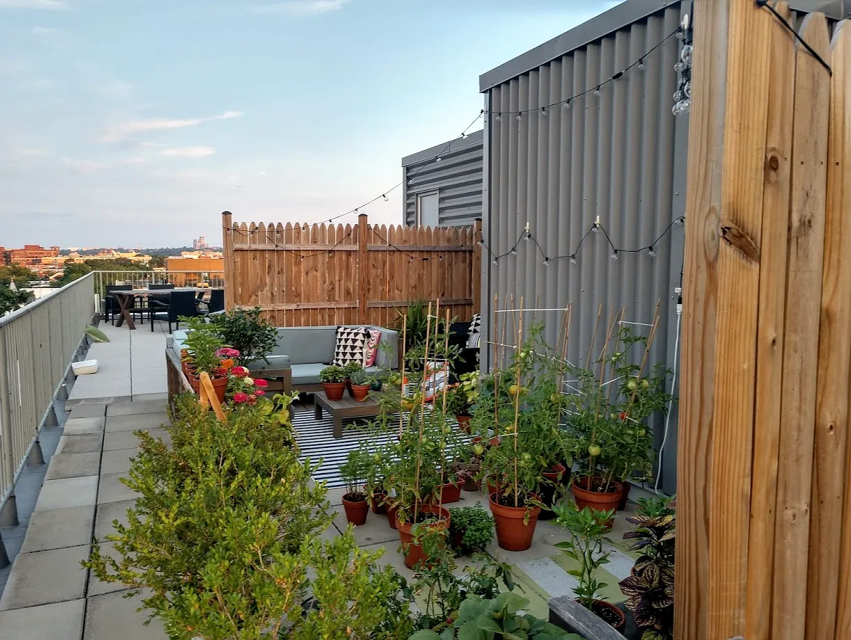 1 bed, 1200 sqft, $3,250 — Photo 4