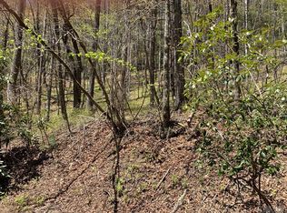 101 W Christy Trl, Sapphire, NC 28774