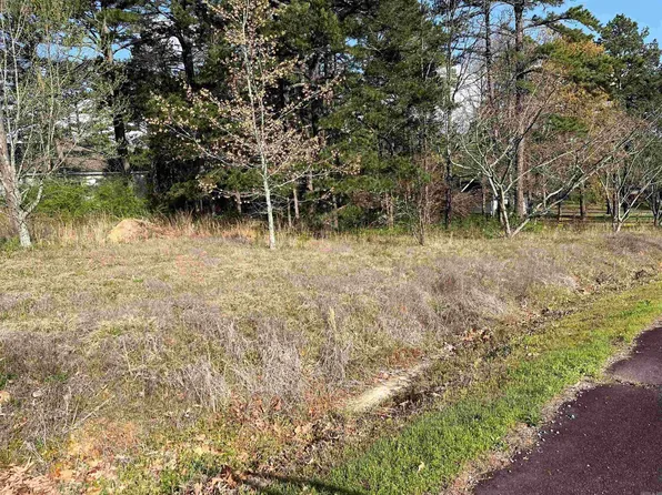 Silver Leaf Cv, Greenbrier, AR 72058