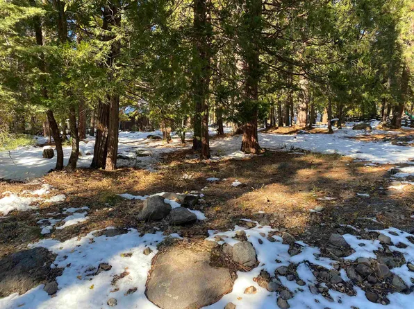 2203 Pine Cone Ln, Quincy, CA 95971