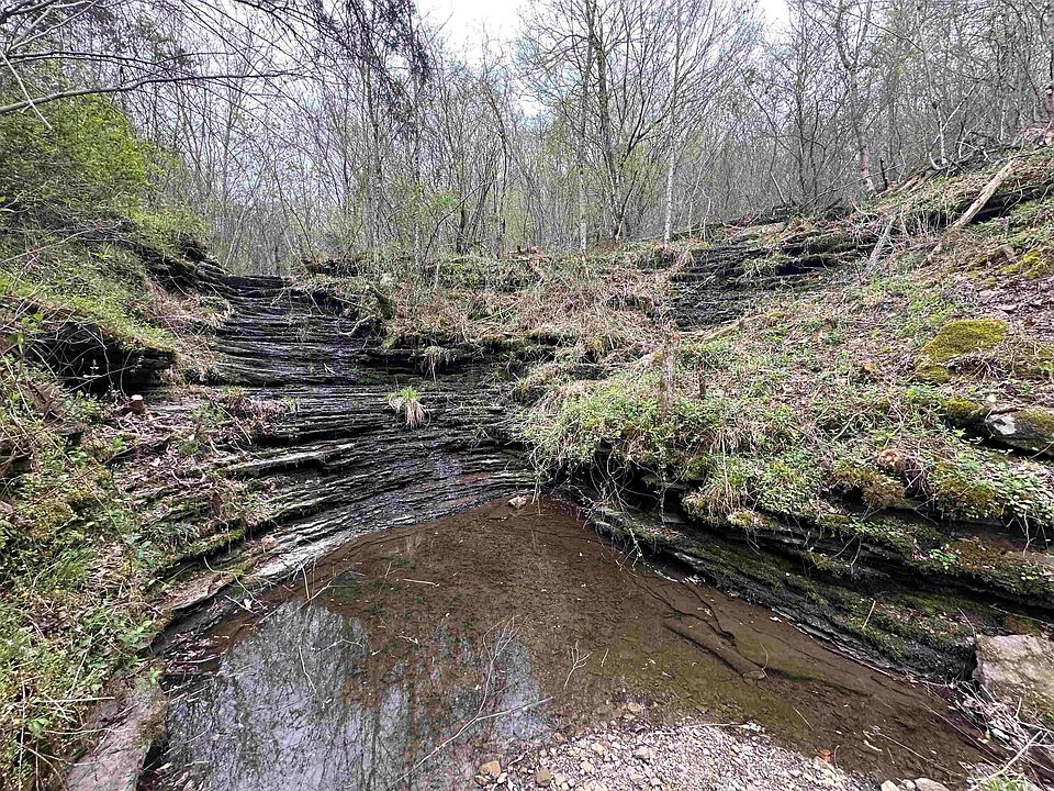 2nd image of 750 Bluegrass Music Rd