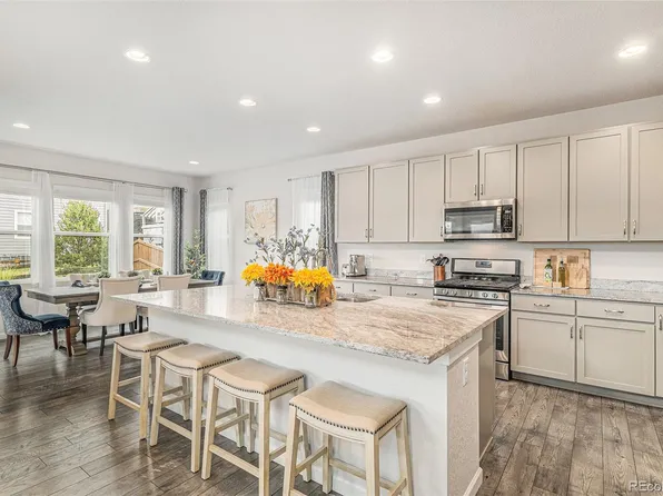 1221 Basalt Ridge Loop, Castle Rock, CO 80108