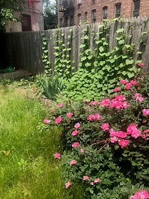 Rented by R New York | media 39