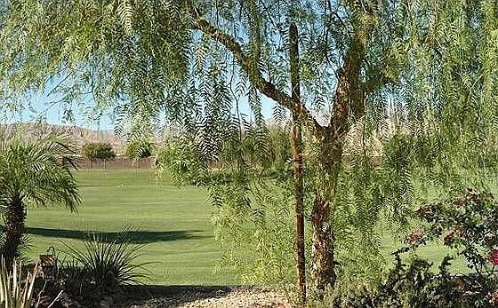 1st image of 78286 Hollister Dr