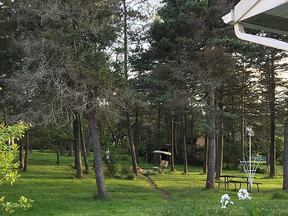 Huge backyard wooded lot