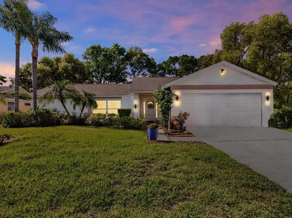 9806 Didrikson Dr, New Port Richey, FL 34655