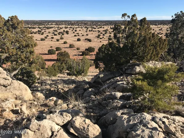 Section 1 T14n #Nw4-ne4-r16e, Heber, AZ 85928