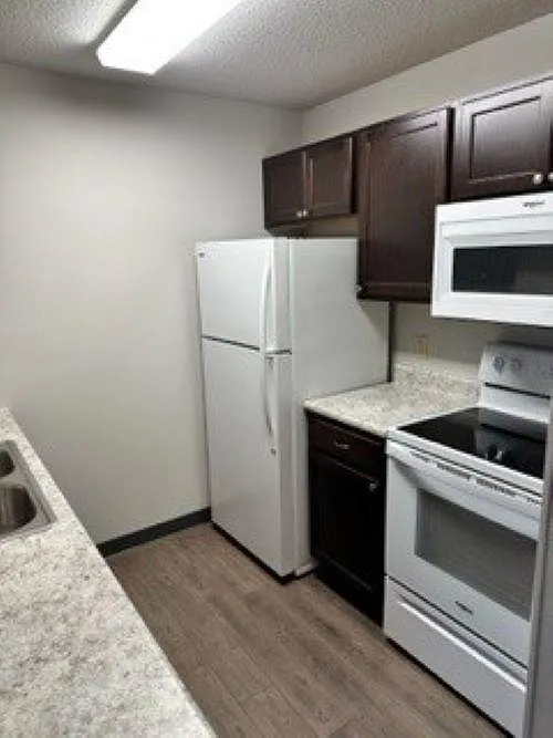 1 bed, 1462 sqft, $539 — Photo 2