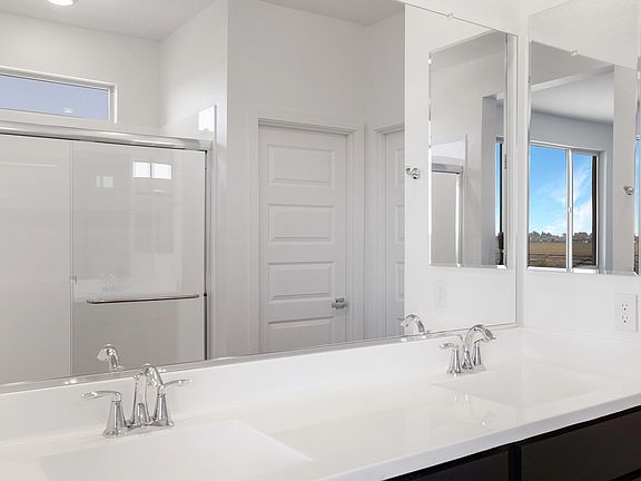 Homesite 202 Primary Bath