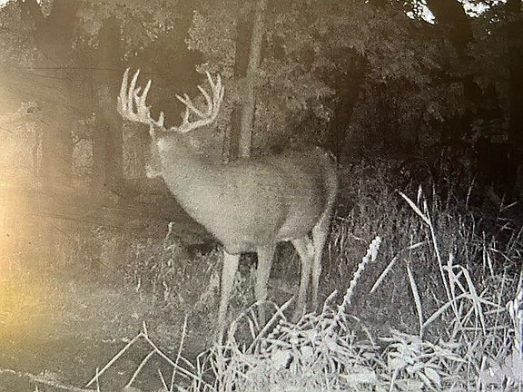 2nd image of N8002 Ashley Rd