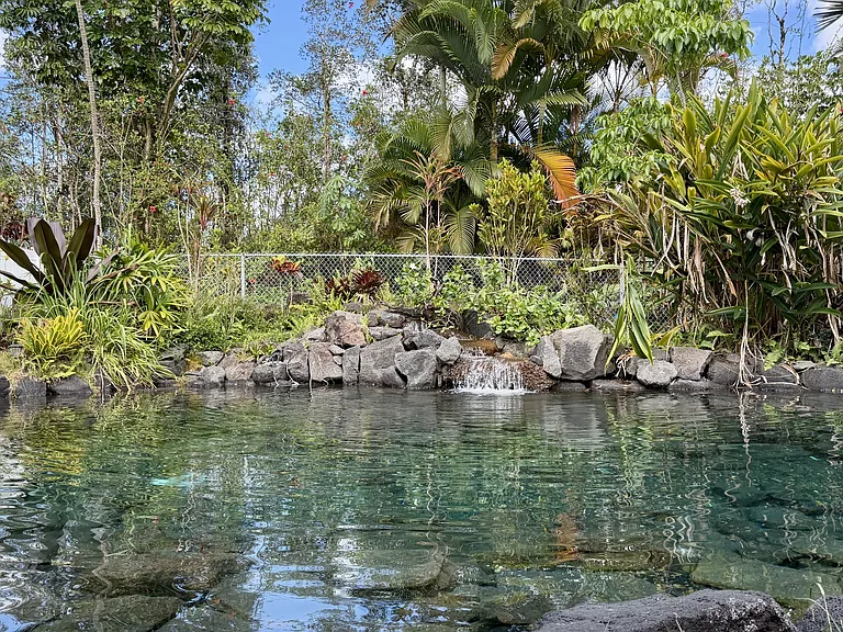 Swimming Pond!! Just off the back lanai