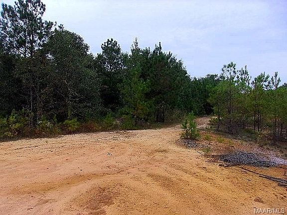 2nd image of 731 Ethan Ln