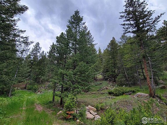4th image of 1 Mountain Lion Track Ct