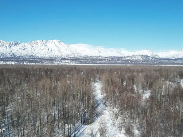 L10-11 Chulitna Trl, Trapper Creek, AK 99683