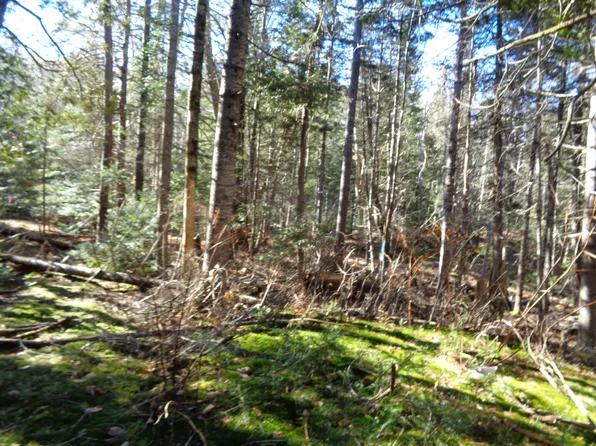 Lot 55 Dority Farm Road, Mariaville, ME 04605